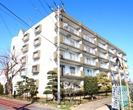 �����른�廳��